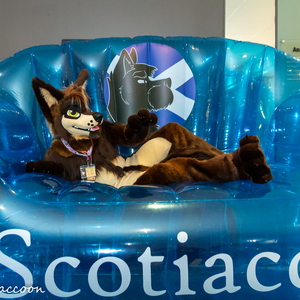 Scotia Couch