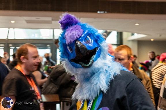 Scotiacon-7102