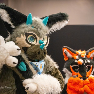 Fursuit 101