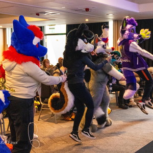 Just Dance Furs