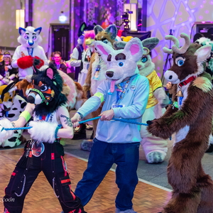 Fursuit Games
