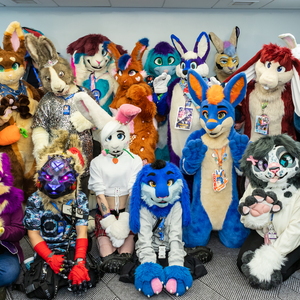 Rabbit Meet and Greet