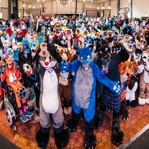 Group Photos